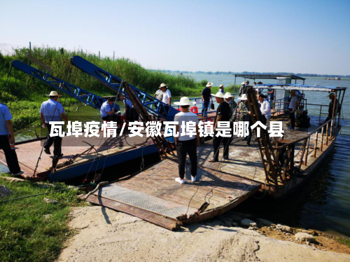 瓦埠疫情/安徽瓦埠镇是哪个县-第2张图片