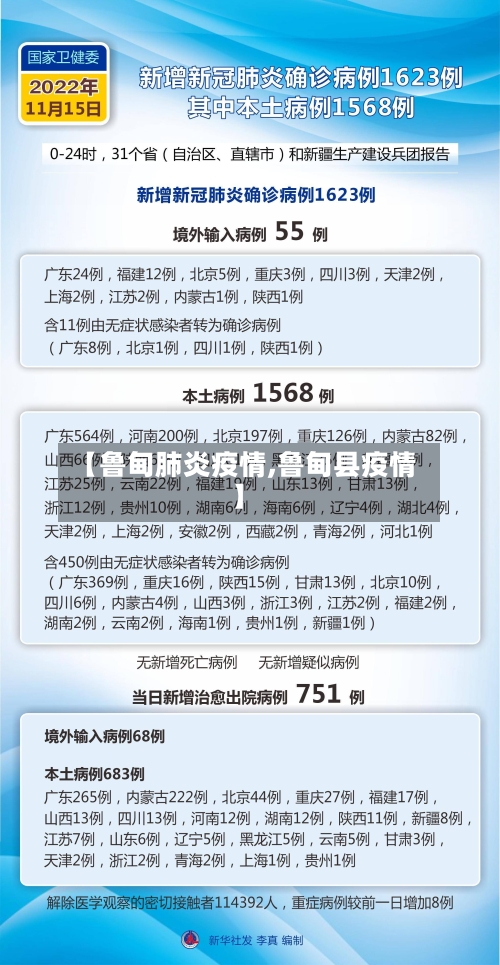 【鲁甸肺炎疫情,鲁甸县疫情】-第2张图片