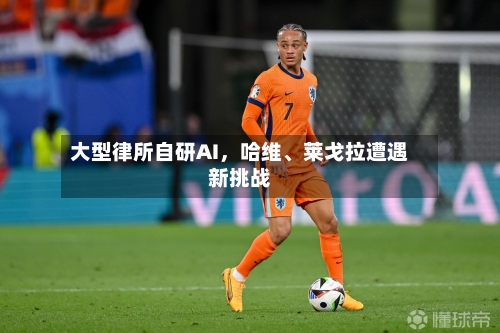 大型律所自研AI，哈维	、莱戈拉遭遇新挑战-第2张图片
