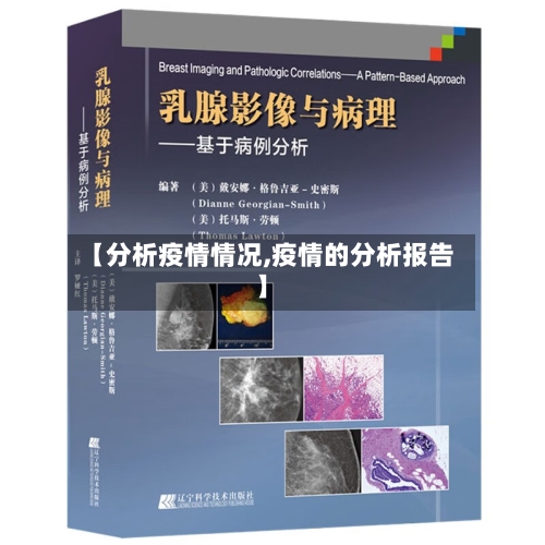 【分析疫情情况,疫情的分析报告】-第2张图片