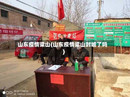 山东疫情梁山(山东疫情梁山封城了吗)-第2张图片