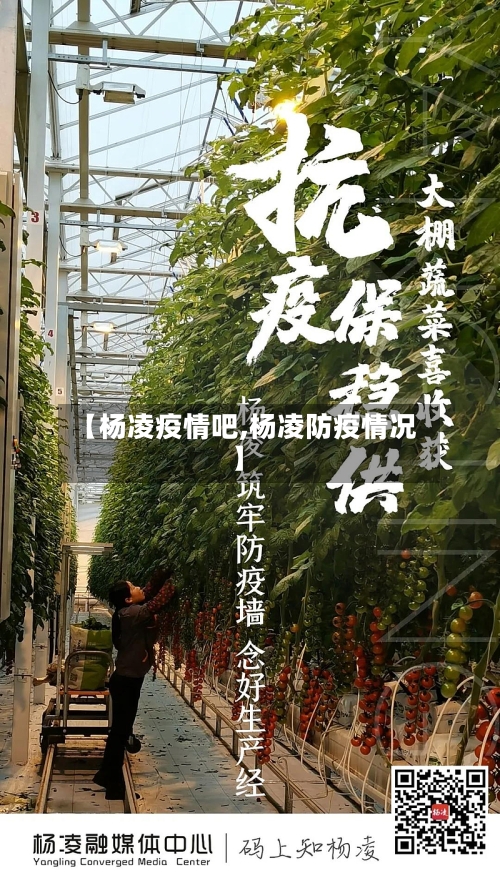 【杨凌疫情吧,杨凌防疫情况】-第3张图片
