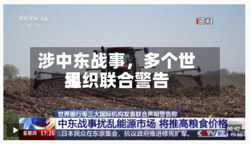 涉中东战事，多个世界组织联合警告-第2张图片
