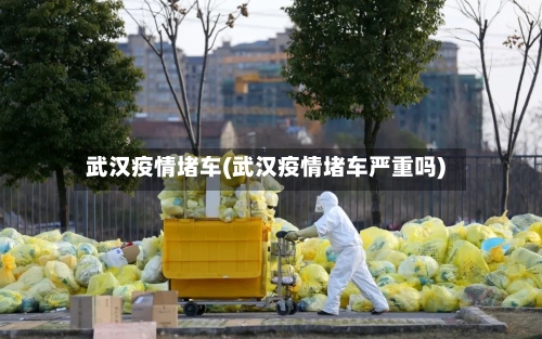 武汉疫情堵车(武汉疫情堵车严重吗)