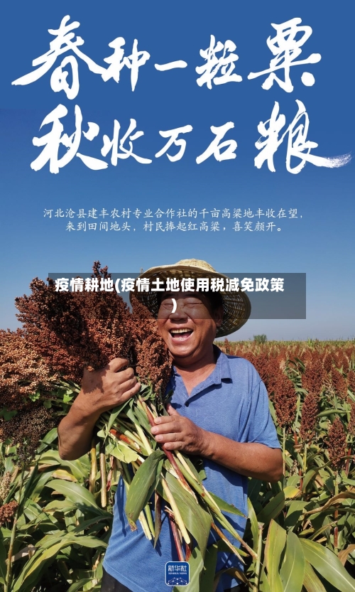 疫情耕地(疫情土地使用税减免政策)