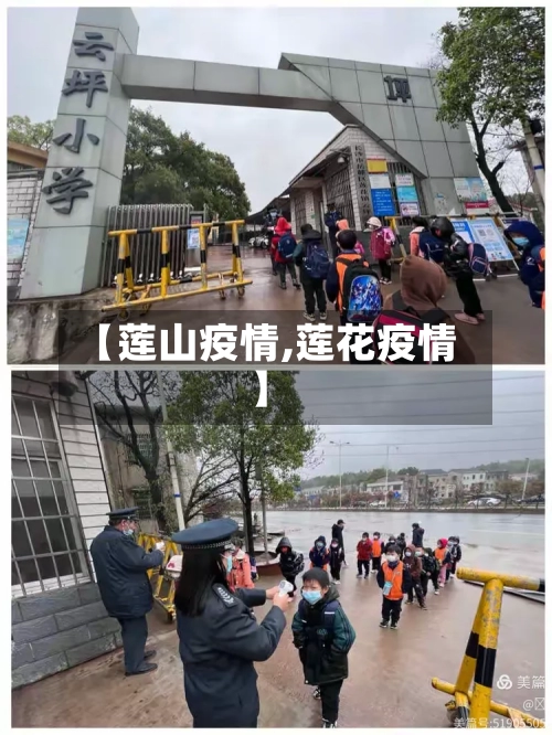 【莲山疫情,莲花疫情】-第3张图片