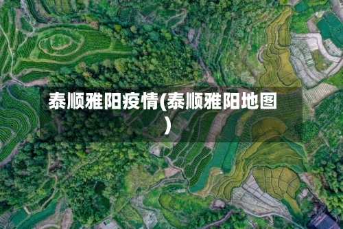 泰顺雅阳疫情(泰顺雅阳地图)