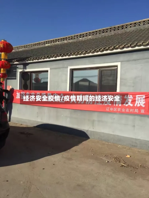 经济安全疫情/疫情期间的经济安全-第2张图片