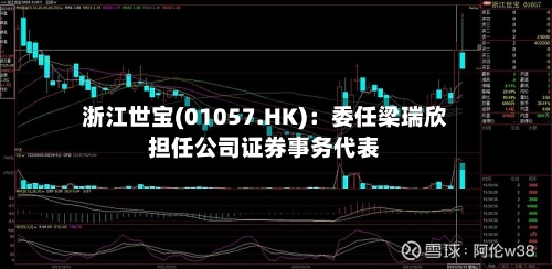 浙江世宝(01057.HK)：委任梁瑞欣担任公司证券事务代表-第2张图片