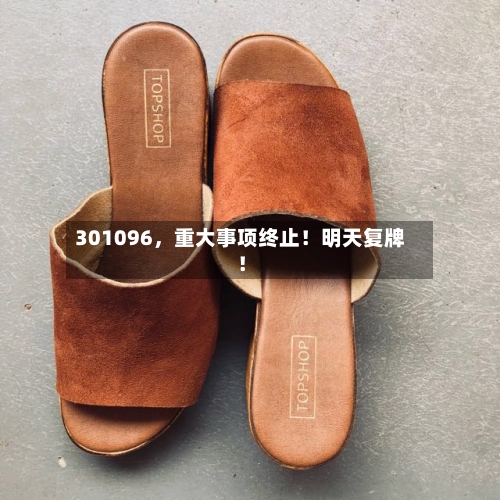 301096，重大事项终止！明天复牌！-第2张图片