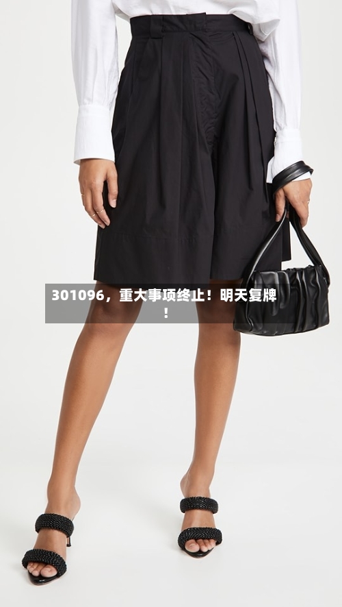 301096	，重大事项终止！明天复牌！-第3张图片
