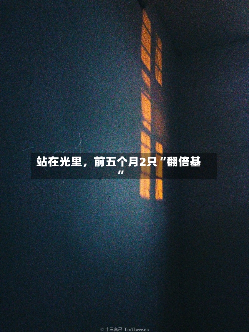 站在光里，前五个月2只“翻倍基”-第2张图片