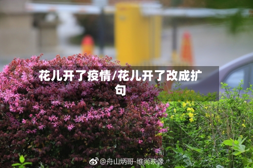 花儿开了疫情/花儿开了改成扩句-第2张图片