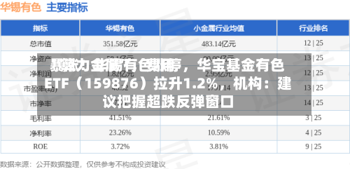 “算力金属”，费用暴涨！华锡有色涨停，华宝基金有色ETF（159876）拉升1.2%，机构：建议把握超跌反弹窗口