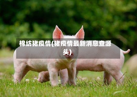 棉纺猪疫情(猪疫情最新消息查源头)-第3张图片