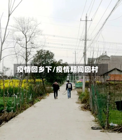 疫情回乡下/疫情期间回村