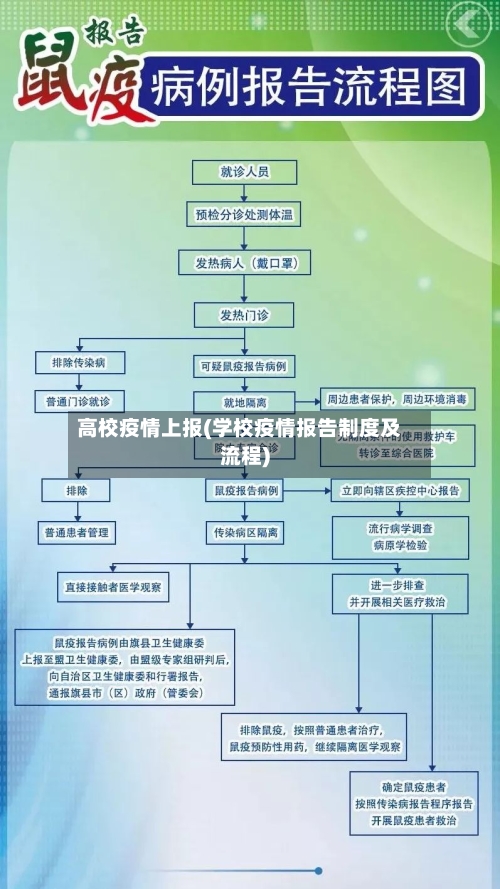 高校疫情上报(学校疫情报告制度及流程)-第2张图片