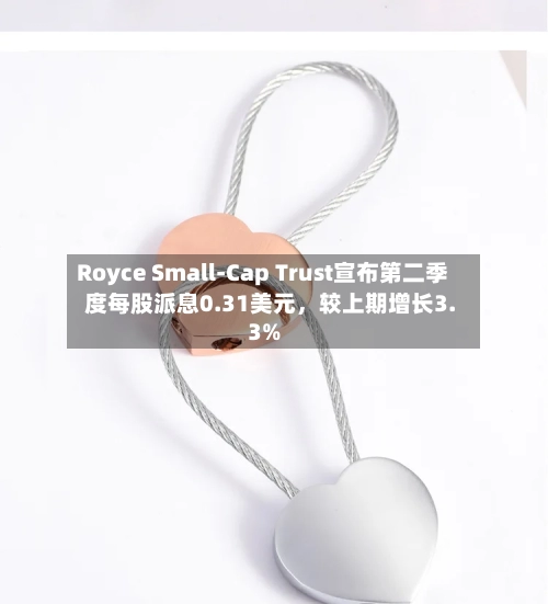 Royce Small-Cap Trust宣布第二季度每股派息0.31美元，较上期增长3.3%-第2张图片
