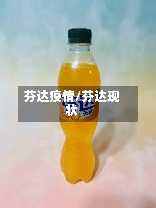芬达疫情/芬达现状-第3张图片
