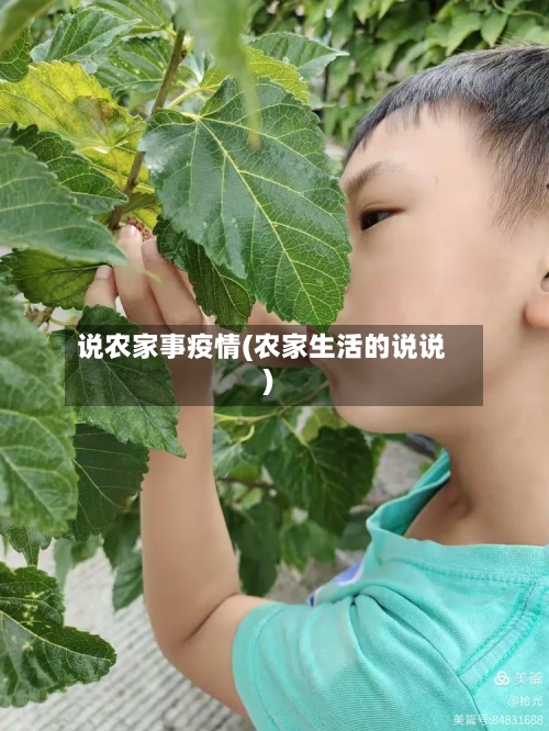 说农家事疫情(农家生活的说说)-第2张图片