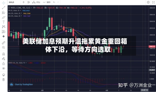 美联储加息预期升温拖累黄金重回箱体下沿，等待方向选取-第2张图片