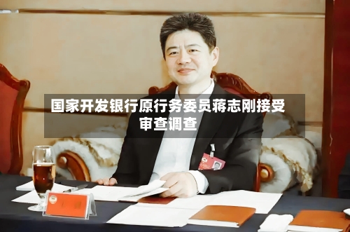 国家开发银行原行务委员蒋志刚接受审查调查-第2张图片