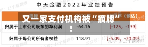 又一家支付机构被“摘牌”！