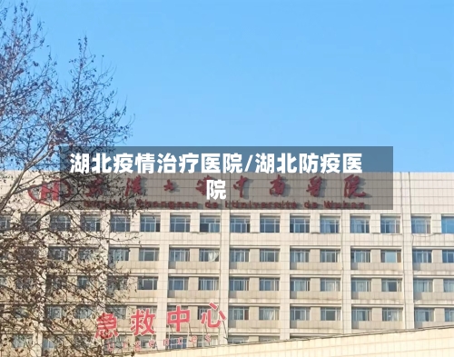 湖北疫情治疗医院/湖北防疫医院-第3张图片