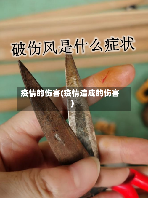 疫情的伤害(疫情造成的伤害)