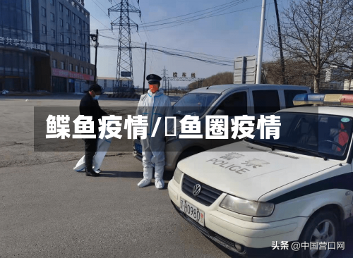 鲽鱼疫情/鲃鱼圈疫情