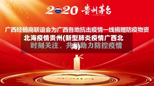 北海疫情贵州(新型肺炎疫情广西北海)-第3张图片