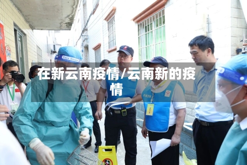 在新云南疫情/云南新的疫情