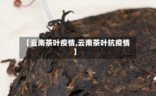 【云南茶叶疫情,云南茶叶抗疫情】-第2张图片