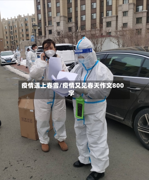 疫情遇上春雪/疫情又见春天作文800字