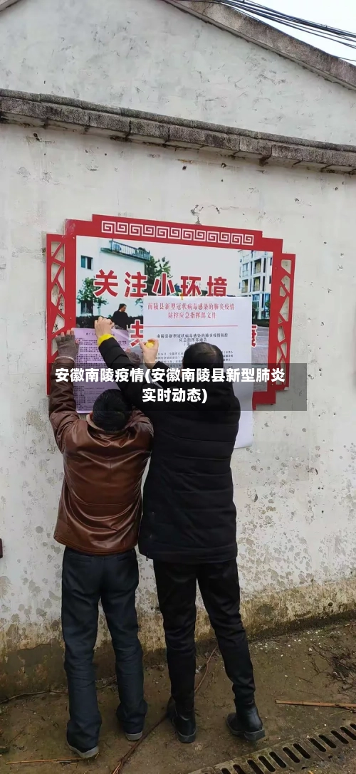 安徽南陵疫情(安徽南陵县新型肺炎实时动态)-第2张图片