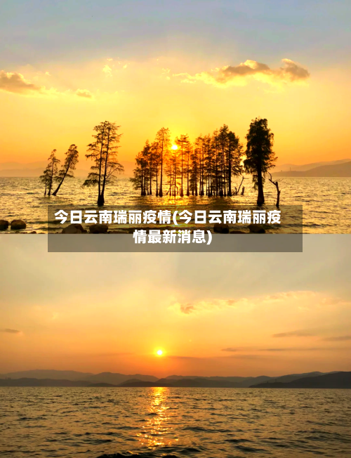 今日云南瑞丽疫情(今日云南瑞丽疫情最新消息)-第2张图片