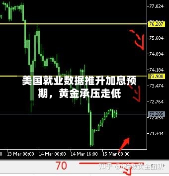 美国就业数据推升加息预期	，黄金承压走低-第2张图片