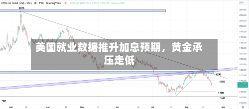 美国就业数据推升加息预期，黄金承压走低-第3张图片