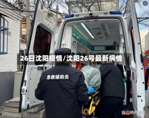 26日沈阳疫情/沈阳26号最新病情-第2张图片