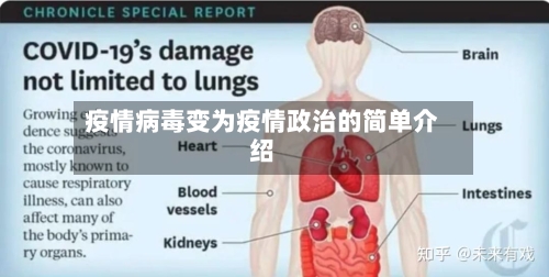 疫情病毒变为疫情政治的简单介绍-第2张图片