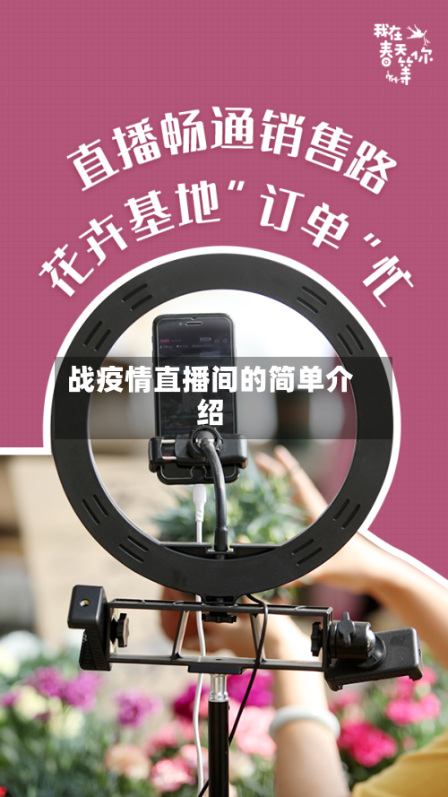 战疫情直播间的简单介绍-第3张图片