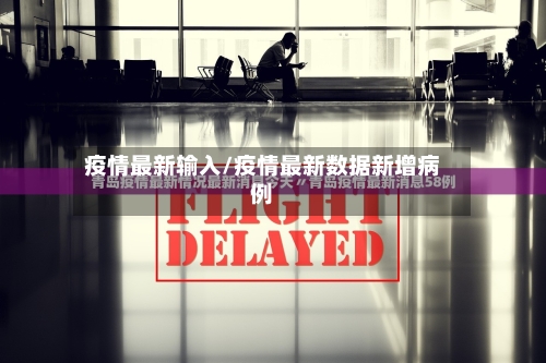 疫情最新输入/疫情最新数据新增病例