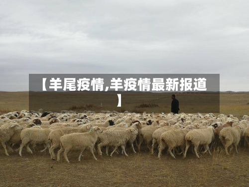 【羊尾疫情,羊疫情最新报道】-第2张图片
