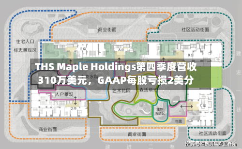 THS Maple Holdings第四季度营收310万美元	，GAAP每股亏损2美分-第2张图片