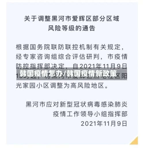 韩国疫情怎办/韩国疫情新政策-第3张图片