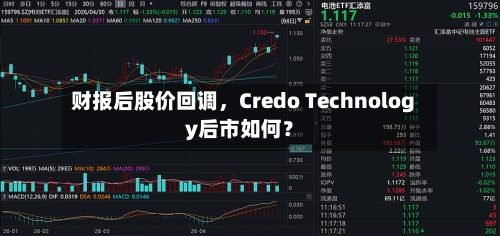 财报后股价回调，Credo Technology后市如何？-第2张图片