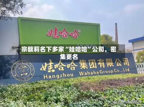 宗馥莉名下多家“娃哈哈”公司	，密集更名-第2张图片