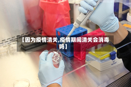 【因为疫情清关,疫情期间清关会消毒吗】