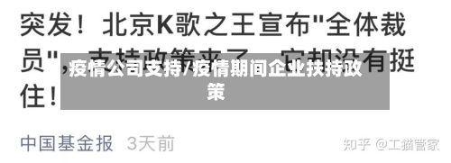疫情公司支持/疫情期间企业扶持政策