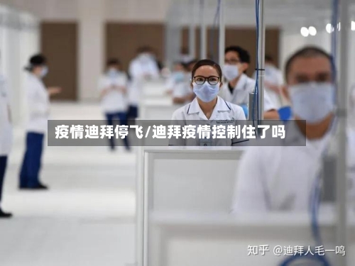 疫情迪拜停飞/迪拜疫情控制住了吗-第2张图片
